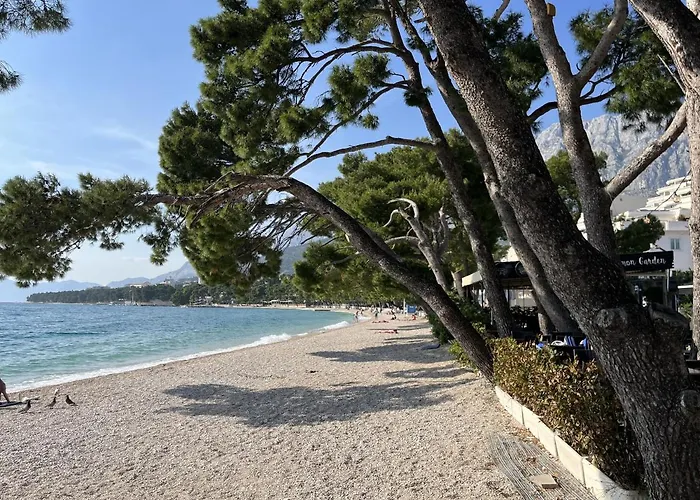 Leonardo * 马卡尔斯卡