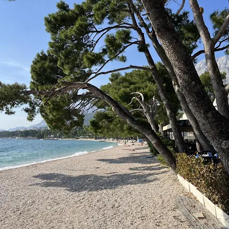 Leonardo * ماكارسكا