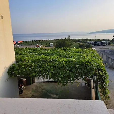 Leonardo * ماكارسكا